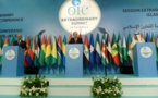 Les pays musulmans demandent une "force de protection internationale" pour les Palestiniens