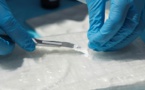 Plus "pure" et "disponible", la cocaïne en pleine "résurgence" en Europe