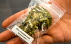 e Canada fixe au 17 octobre la légalisation du cannabis