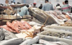 Maersk lève l'ancre : les frigos de Nouadhibou débordés Maersk lève l'ancre : les frigos de Nouadhibou débordés