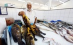 La pêche à l'explosif en Libye, fléau écologique en Méditerranée