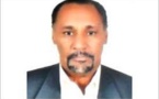 Une campagne aux allures enfantines  par El Wely Sidi Haiba