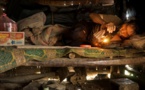 L'opium, refuge pour les tribus montagnardes du Laos