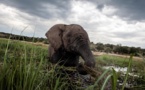 Boudée par les touristes, l'Afrique cherche à leur faire les yeux doux