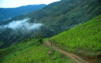 La Colombie reste le premier producteur de cocaïne du monde