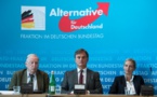 En un an, l'extrême droite a bouleversé la vie politique allemande
