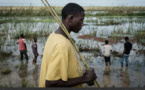 Au Mozambique, les petits paysans dévastés après la destruction de leurs récoltes