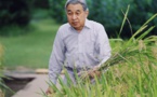 Les empereurs japonais, du statut divin au rôle symbolique