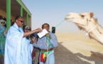 Le Premier ministre donne le coup d’envoi de la course cameline au km 18 au sud de la capitale