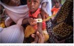 En Mauritanie, « 559 000 personnes seront en insécurité alimentaire pendant la période de soudure »