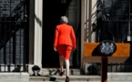 Déjà sept candidats à la succession de Theresa May