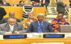La Mauritanie réélue membre du comité de l'ONU pour l'élimination de la discrimination raciale