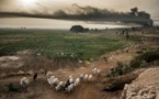 Peuls au Nigeria: la guerre de la terre
