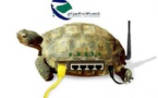 Mauritanie – Elections : l’Internet fixe partiellement rétabli