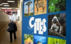 Espèces en danger: repenser les règles du commerce pour contrer une extinction "sans précédent"