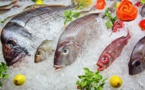 Mauritanie : les délestages menacent le stockage du poisson à Nouadhibou