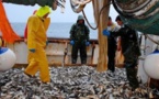 Bientôt un Code pour la pêche continentale et l’aquaculture