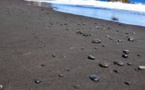 La Mauritanie suspend l’exploitation du sable noir du littoral
