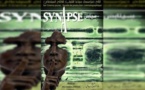 Synapse au Festival du court métrage de Nouakchott
