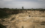 Au Sénégal, les baobabs ploient sous la pression des cimentiers