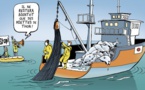 Mauritanie : des explications officielles à propos de la pêche de surface