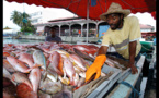 Le marché aux poissons de Nouakchott: Nouveaux investissements de 14 milliards exécutés par la société BIS-TP