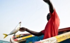 Sortie d’une promotion de cent pêcheurs artisans