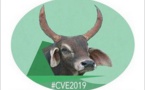 Communiqué de la CVE : Mise en place de la Commission Solidarité contre le Covid-19