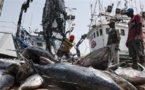Les cadres du ministère des Pêches et des établissements qui en relèvent contribuent au Fonds national de solidarité