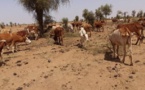 Guidimakha : les OSC tirent la sonnette d’alarme
