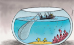 Prolongation des activités de pêche maritime