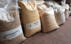 L’arrivée de la dernière cargaison de blé du programme rural