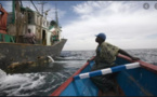 Grève générale des pêcheurs artisanaux