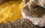 Le wali de Dakhlet Nouadhibou: Les aliments de bétail seront disponible en quantité suffisante