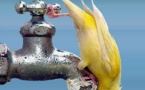 Tagant : Pénurie d’eau à Tidjikja
