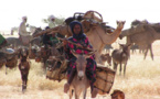 Mauritanie: les conséquences néfastes des fermetures des frontières sur la transhumance