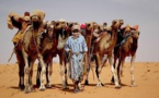 Le problème des chameaux, potentiel cause des conflits inter-ethniques en Mauritanie