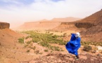 Cri de Coeur : " l'Adrar se meurt "