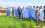 Trarza : Le ministre du Développement rural visite des périmètres maraichers privés dans l’arrondissement de Lekseïba 2