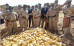 Le chef d’état-major général des armées visite le centre technique de l’armée nationale et la ferme pilote de l’armée près de Rosso