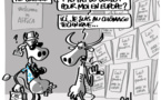 Création d'un fonds pour la Promotion du Développement de l’Élevage