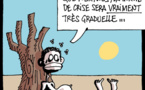 Le MDR répond à la question "la Mauritanie peut-elle relever le défi de l'autosuffisance alimentaire?"