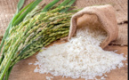 Le MDR Ould Zeine : L'accroissement de notre production en riz a permis de baisser nos importations de près de 75%