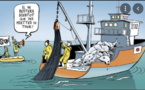 Reprise des activités de la pêche artisanale et côtière au niveau de la zone Nord