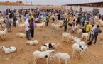 Tabaski : Un marché spécialement aménagé pour les vendeurs de moutons