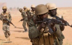 Les armées du Sahel "capables de s'opposer" aux jihadistes