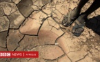Retard des crues du fleuve Sénégal : inquiétude chez les paysans de la vallée