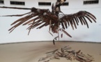 1er prix à la biennale de sculpture à Ouagadougou par l'artiste mauritanien Oumar Ball
