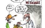 Plus d’un million de caprins et six cents mille bovins au Hodh Charghi visés par une campagne de vaccination