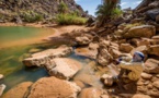 Adrar : L'eau jaillit dans les oasis